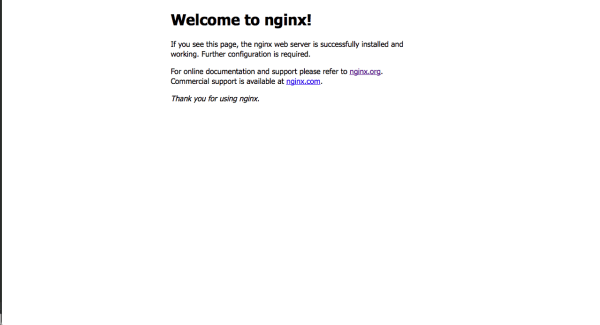 panduan-instalasi-nginx-di-ubuntu-14.04-2